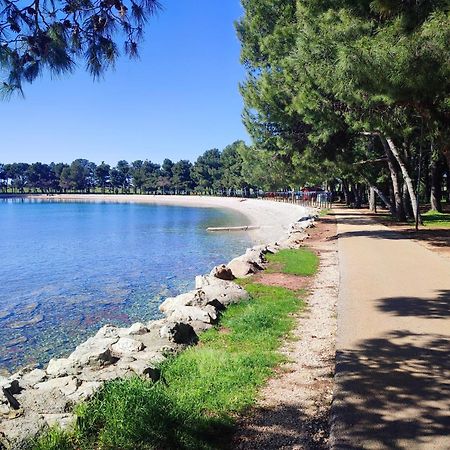 Apartments Novigrad Novigrad Istria エクステリア 写真