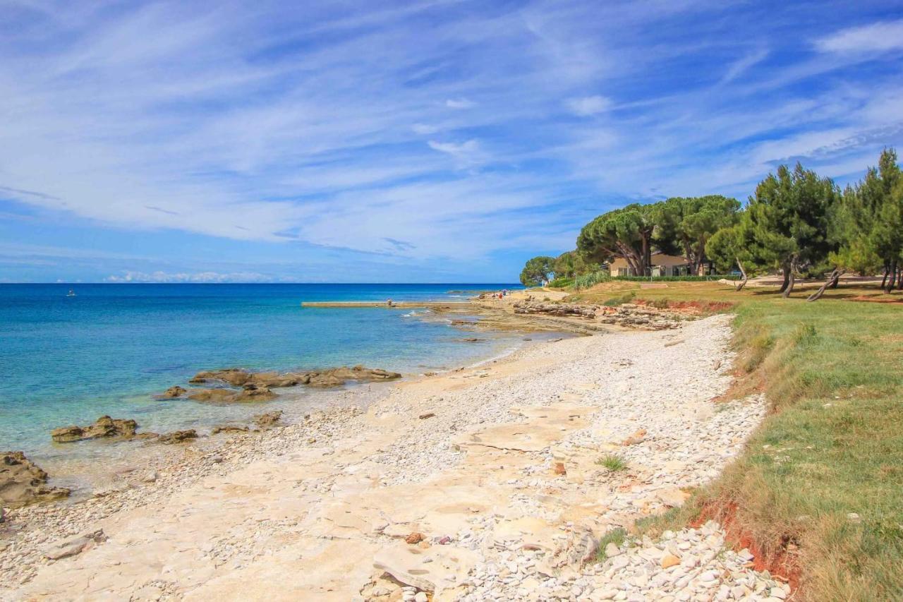 Apartments Novigrad Novigrad Istria エクステリア 写真