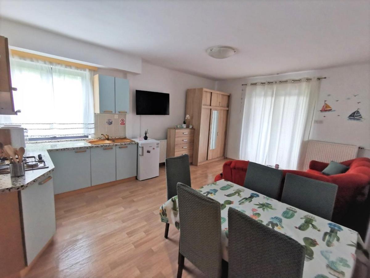 Apartments Novigrad Novigrad Istria エクステリア 写真