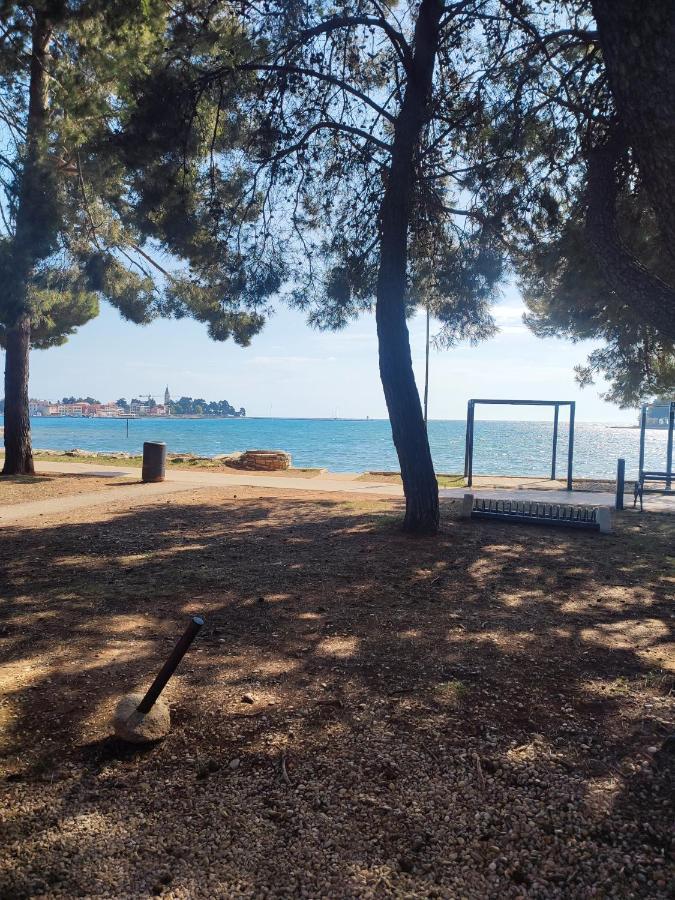 Apartments Novigrad Novigrad Istria エクステリア 写真